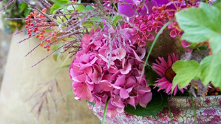 paresse en douce