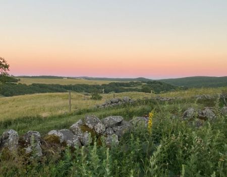 terres aubrac (1)